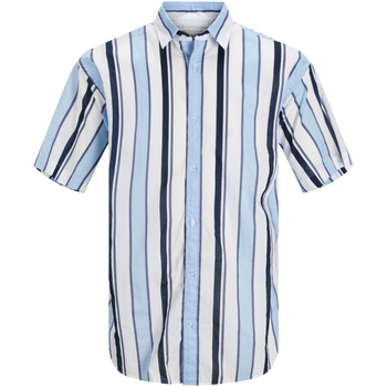 Vêtements Homme Chemises manches courtes Jack & Jones 12207424 JORALOHA STRIPE SHIRT SS SN CASHMERE BLUE Bleu