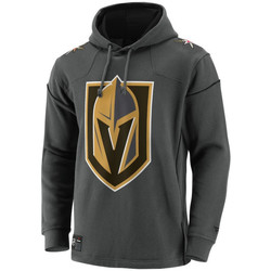 Vêtements Sweats Fanatics Sweat à capuche NHL Vegas Gold Multicolore