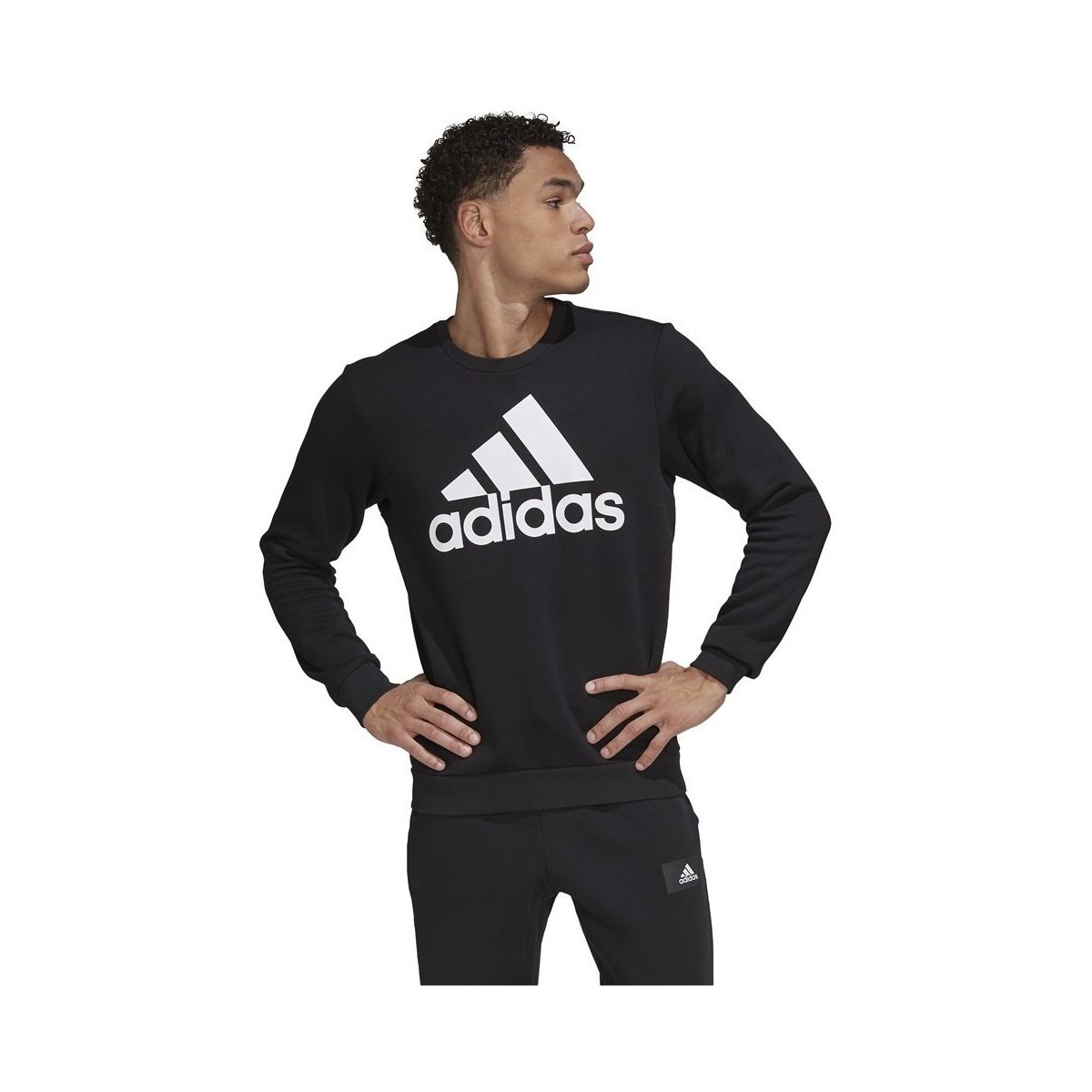 Vêtements Homme Sweats adidas Originals Big Logo FL Noir