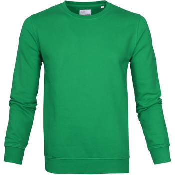 Vêtements Homme Sweats Colorful Standard Pull Kelly Vert Vert