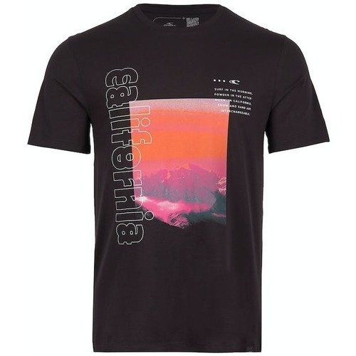 Vêtements Homme Lyle & Scott O'neill T-shirt  Cali Mountains Noir