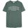Vêtements Homme T-shirts manches courtes French Disorder T-shirt  Mike Washed Vert
