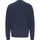 Vêtements Homme Sweats Tommy Jeans Reg Essential Graphic Crew Sweater Bleu