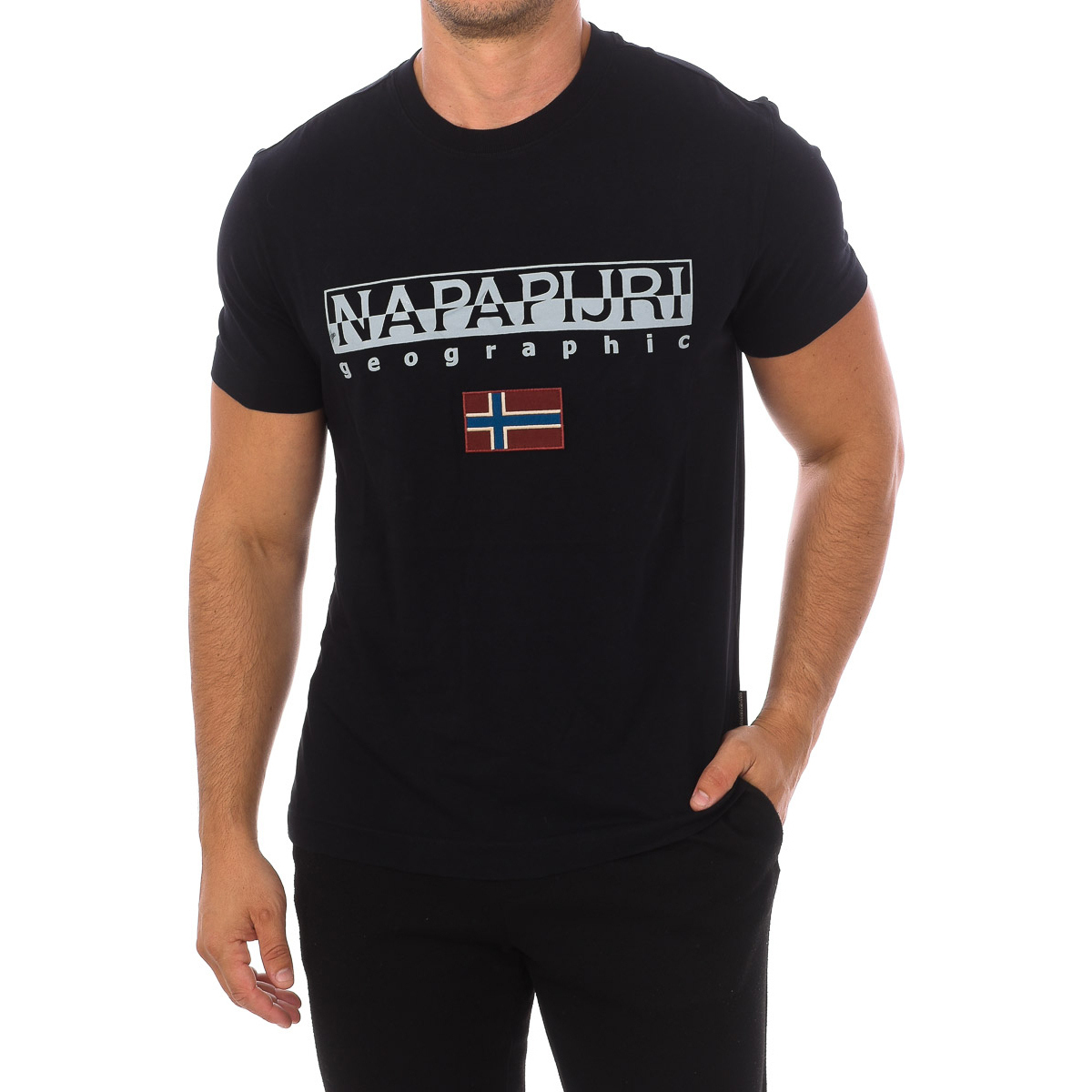 Vêtements Homme T-shirts manches courtes Napapijri NP0A4GDQ-041 Noir