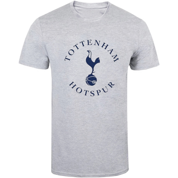 Vêtements T-shirts manches longues Tottenham Hotspur Fc  Gris
