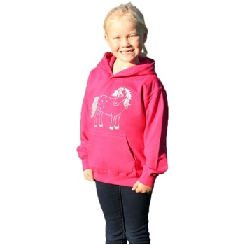 Vêtements Fille Sweats British Country Collection Twinkle Pony Multicolore