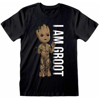 Vêtements T-shirts manches longues Guardians Of The Galaxy I Am Groot Noir