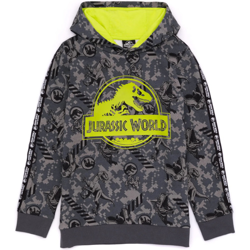 Vêtements Enfant Sweats Jurassic World NS6824 Multicolore