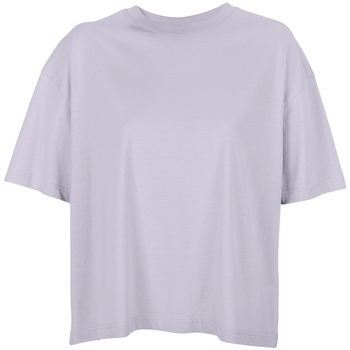 Vêtements Femme T-shirts manches longues Sols 3807 Violet