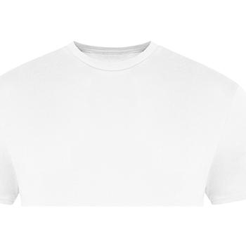 Vêtements T-shirts manches longues Awdis The 100 Blanc