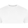 Vêtements T-shirts manches longues Awdis The 100 Blanc