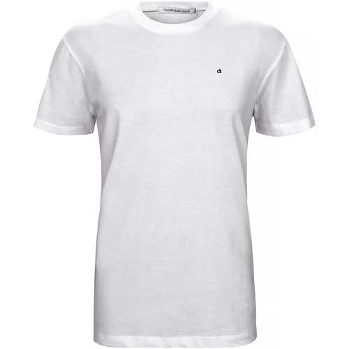 Vêtements Homme T-shirts & Polos Calvin Klein Jeans T-shirt CK small logo white 