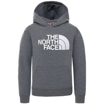 Vêtements Sweats The North Face TNF GREY HOODIE 