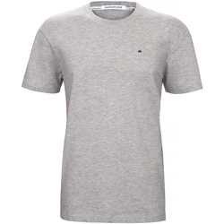 Vêtements Homme T-shirts & Polos Calvin Klein Jeans T-shirt CK small logo grey 