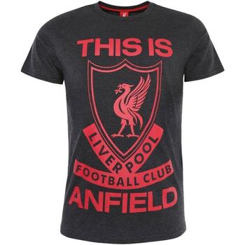 Vêtements Homme T-shirts manches longues Liverpool Fc TA9134 Rouge