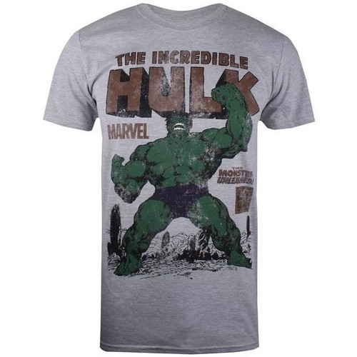 Vêtements Homme T-shirts manches longues Hulk Rage Gris