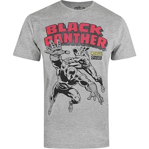 Vêtements Homme T-shirts manches longues Black Panther Combat Gris