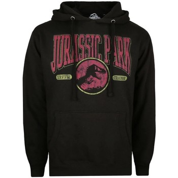 Vêtements Homme Sweats Jurassic Park  Noir