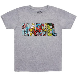 Vêtements Garçon T-shirts manches courtes Marvel TV168 Gris