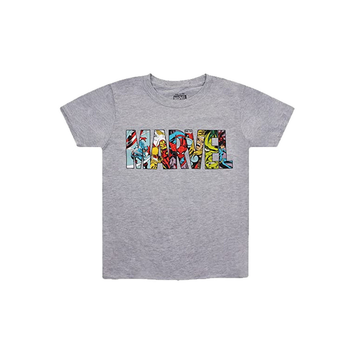 Vêtements Garçon T-shirts manches courtes Marvel  Gris