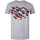 Vêtements Garçon T-shirts manches courtes Captain America TV462 Gris