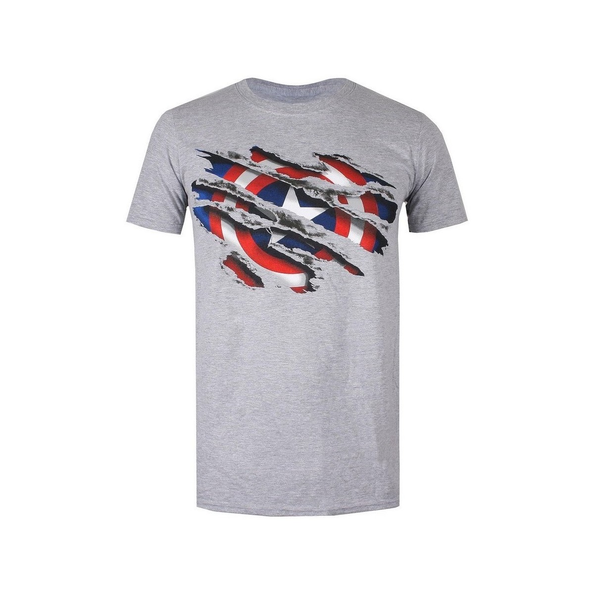 Vêtements Garçon T-shirts manches courtes Captain America TV462 Gris