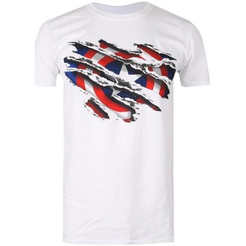 Vêtements Garçon T-shirts manches courtes Captain America  Blanc