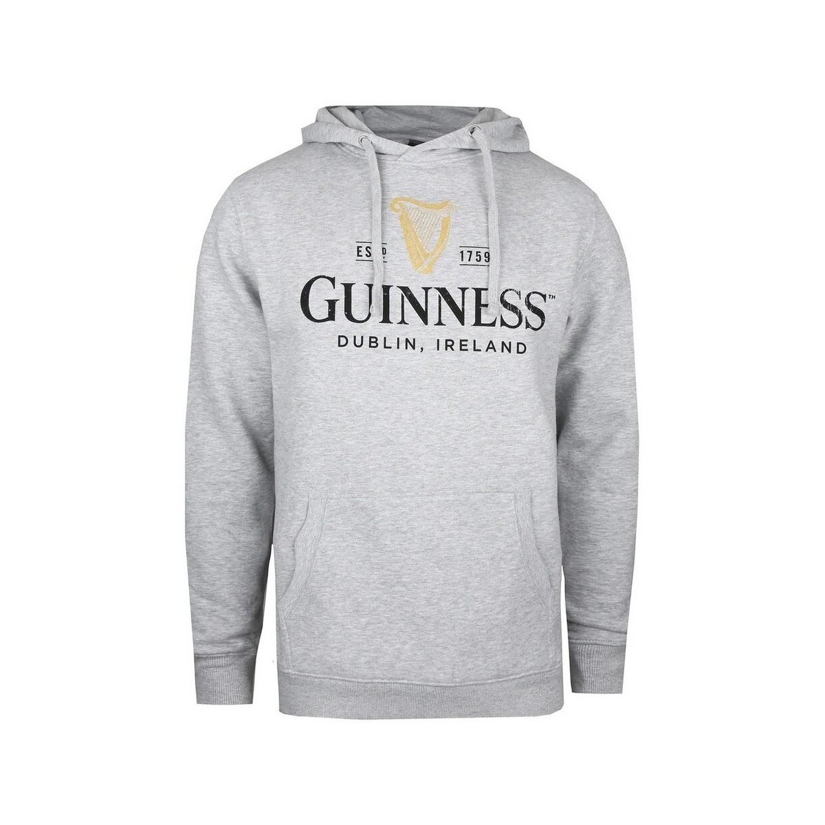 Vêtements Homme Sweats Guinness  Gris