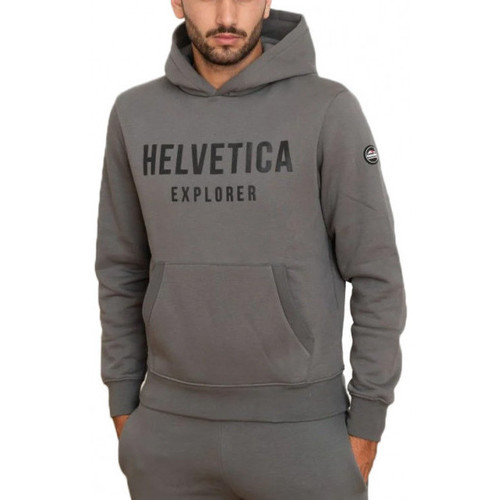 Vêtements Homme Sweats Helvetica LAUN Gris