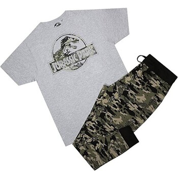 Vêtements Homme Pyjamas / Chemises de nuit Jurassic Park  Vert