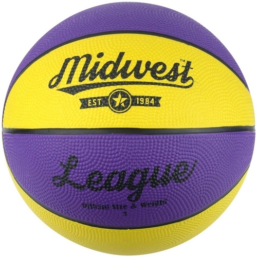 Accessoires Ballons de sport Midwest  Multicolore