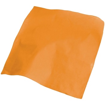 Accessoires textile Echarpes / Etoles / Foulards Atlantis  Orange
