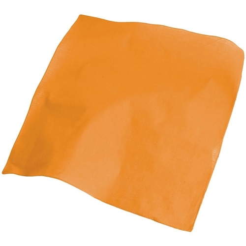 Accessoires textile Echarpes / Etoles / Foulards Atlantis Goal Orange