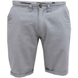 Vêtements Homme Shorts / Bermudas Duke Newgate D555 Gris