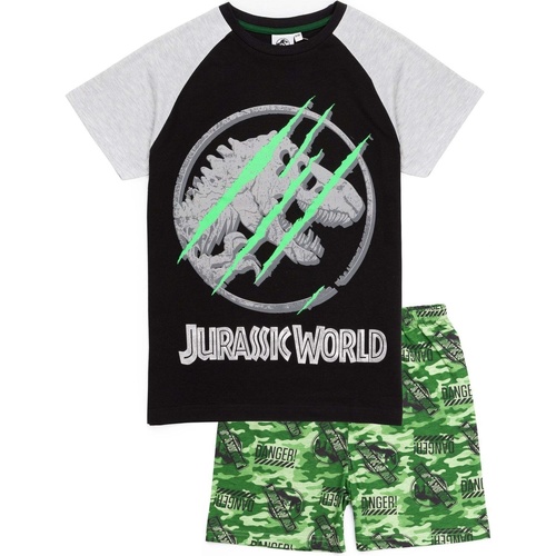 Vêtements Garçon Pyjamas / Chemises de nuit Jurassic World NS6736 Noir