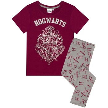 Vêtements Fille Pyjamas / Chemises de nuit Harry Potter NS6759 Multicolore