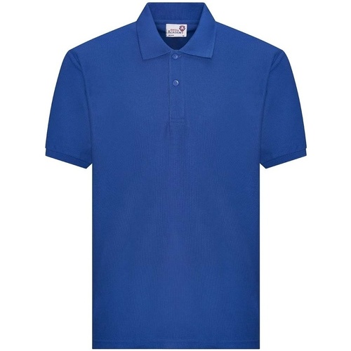 Vêtements Garçon T-shirts & Polos Awdis Academy Bleu