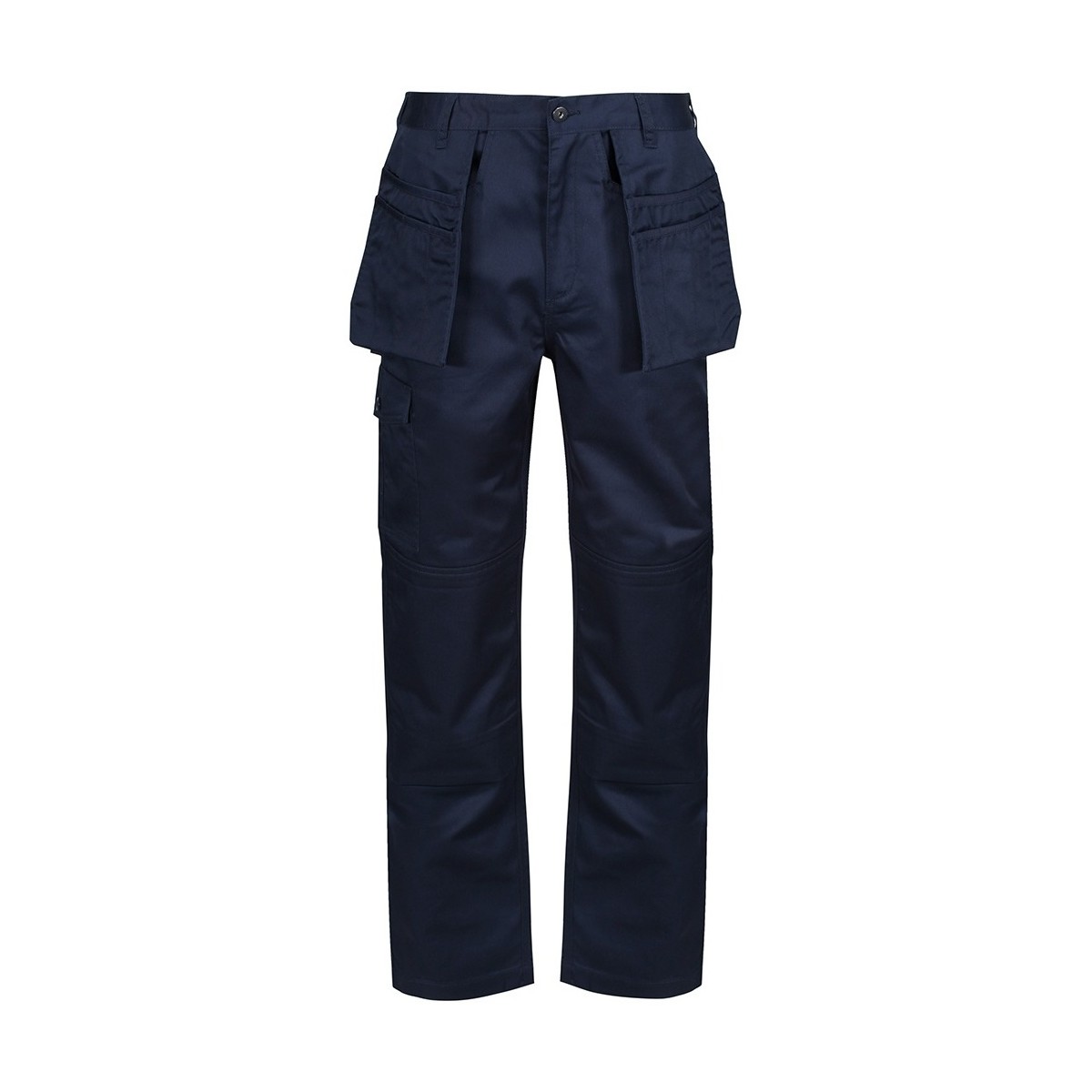 Vêtements Homme Pantalons Regatta PC4685 Bleu