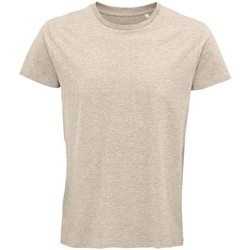 Vêtements Homme T-shirts manches longues Sols 3582 Beige
