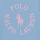 Vêtements Fille T-shirts manches courtes Polo Ralph Lauren SS GRAPHIC T-KNIT SHIRTS Bleu Ciel / Rose