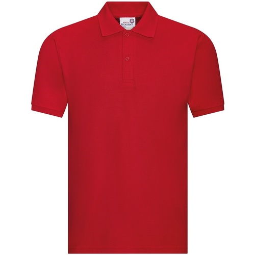 Vêtements Enfant T-shirts & Polos Awdis Academy Rouge