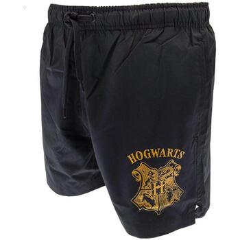Vêtements Homme Shorts / Bermudas Harry Potter  Bleu