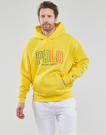 Vêtements Homme Sweats Polo Ralph Lauren POLO COLORBLOCK Jaune