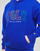 Vêtements Homme Sweats Polo Ralph Lauren POLO COLORBLOCK Bleu royal
