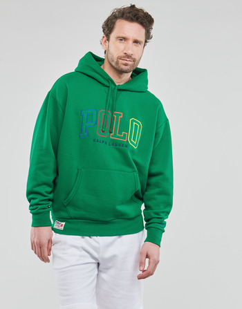Vêtements Homme Sweats Polo Ralph Lauren POLO COLORBLOCK Vert