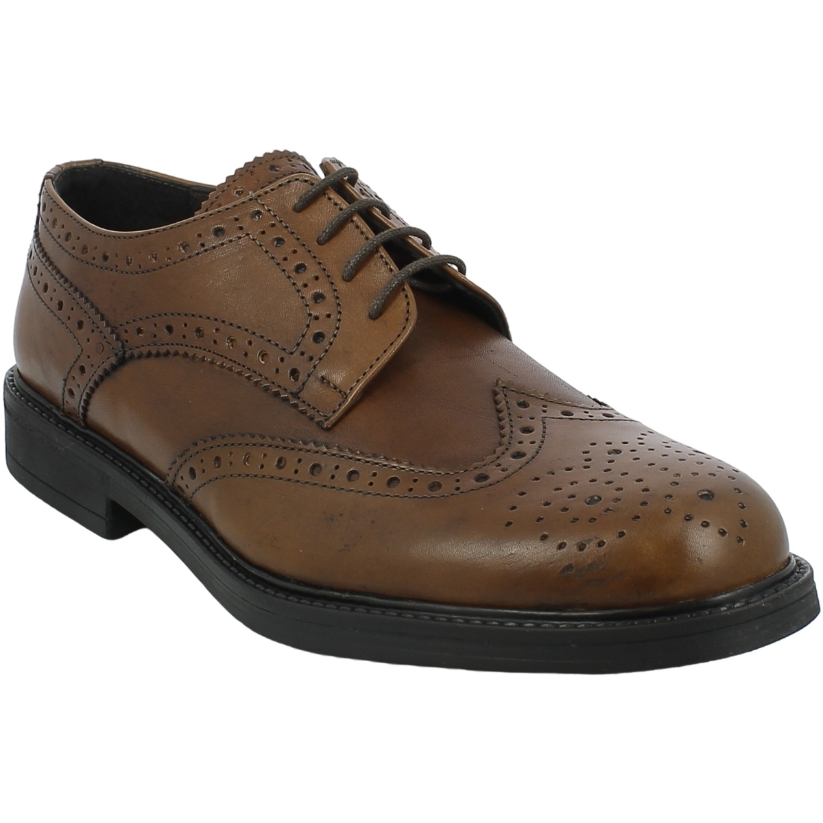 Chaussures Homme The Bagging Co 6030.02 Marron