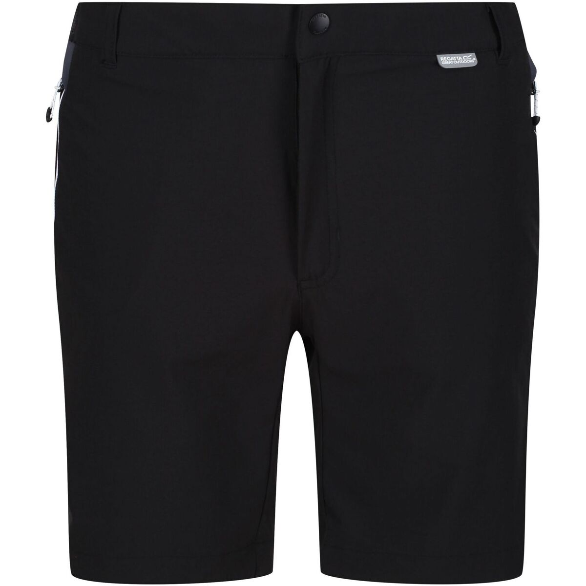 Vêtements Homme Shorts / Bermudas Regatta Mountain II Noir