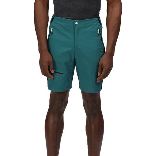 Vêtements Homme Shorts / Bermudas Regatta Highton Pro Noir
