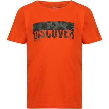 Vêtements Enfant T-shirts Grigio manches courtes Regatta  Orange