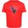 Vêtements Enfant T-shirts manches courtes Regatta Alvarado VI Rouge